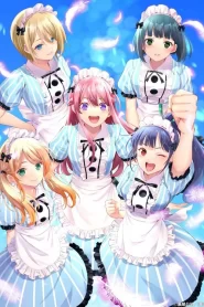 Megami No Cafe Terrace – The Café Terrace and Its Goddesses