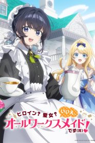 Heroine? Saint? No, I&rsquo;m an All-Works Maid (And Proud of It)!