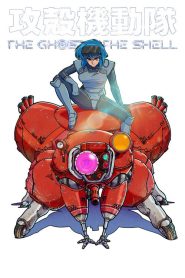THE GHOST IN THE SHELL: Saison 1
