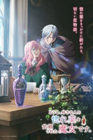 Love Potion, la sorcière mal-aimée: Saison 1